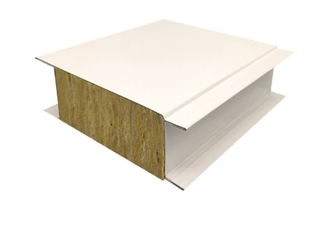 Clean Ceiling Panel